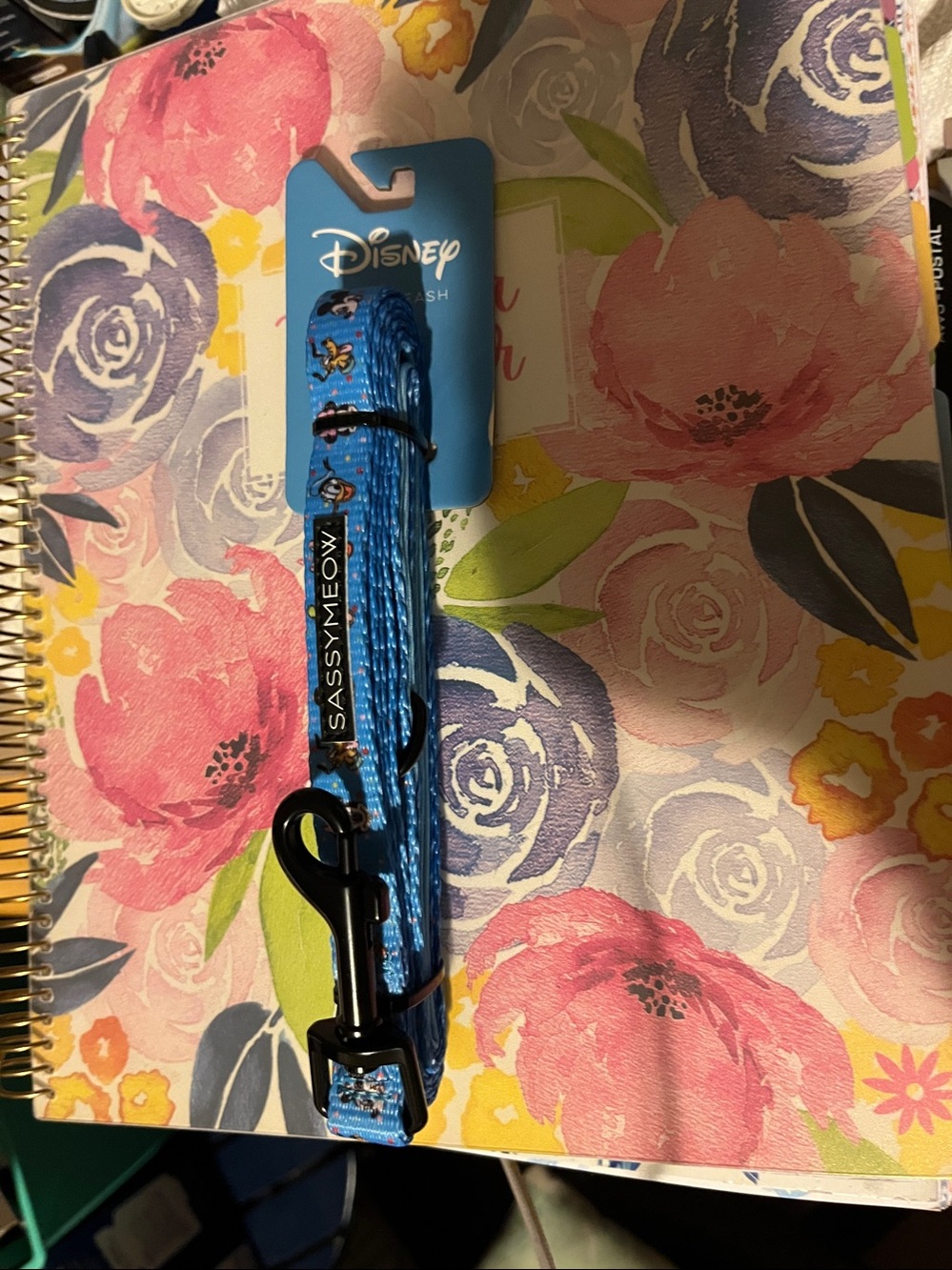 Disney Blue Cat Leash with Mickey Pattern